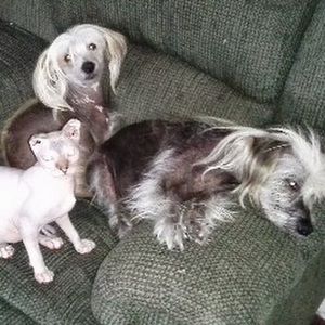 Meet your Posher, Bridget